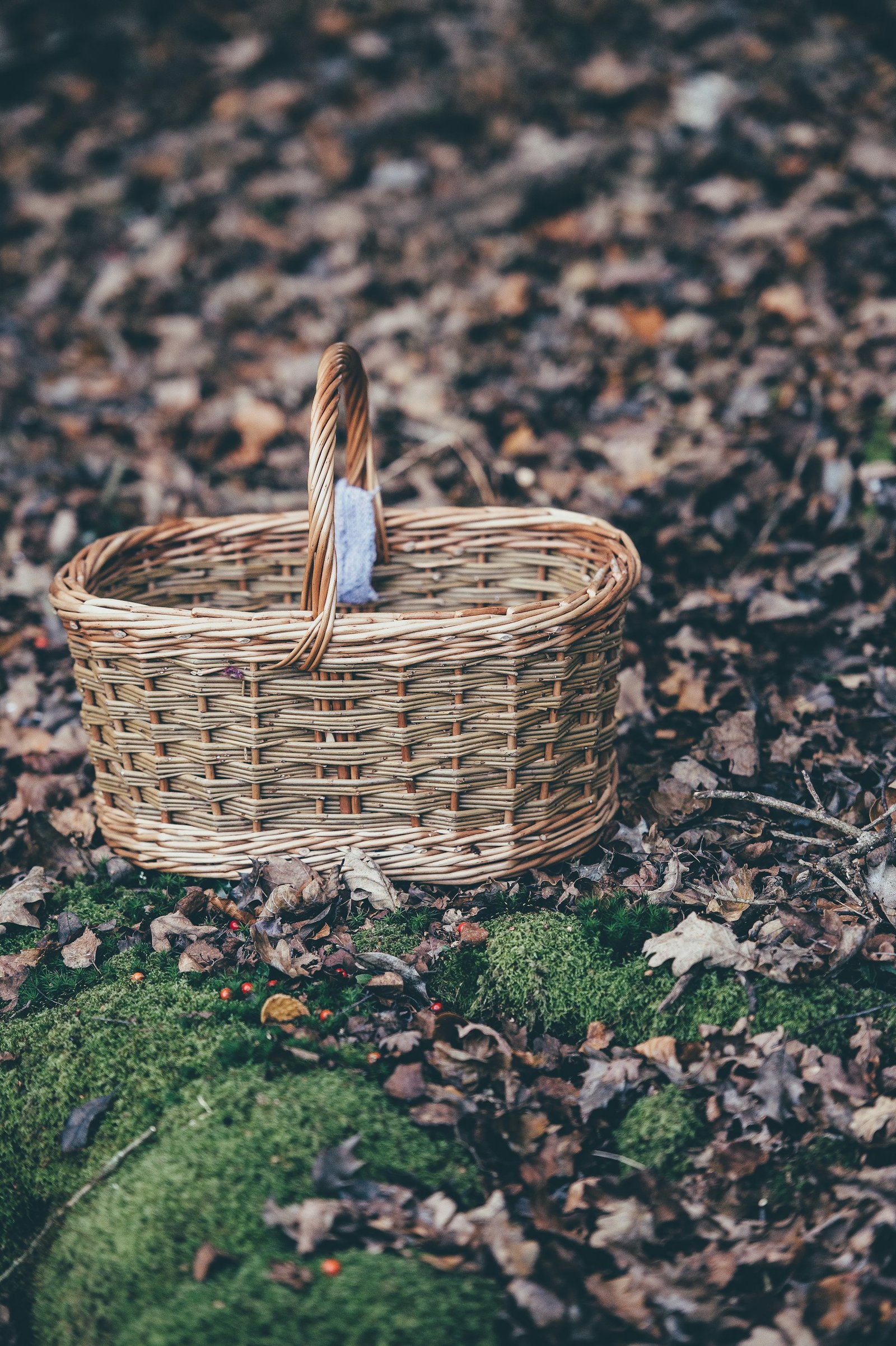 Panier tressé en fibres naturelles